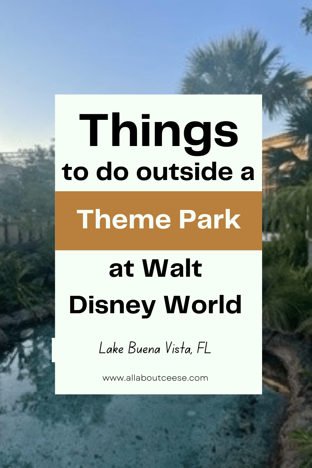 What to do outside of the WDW Theme Parks
