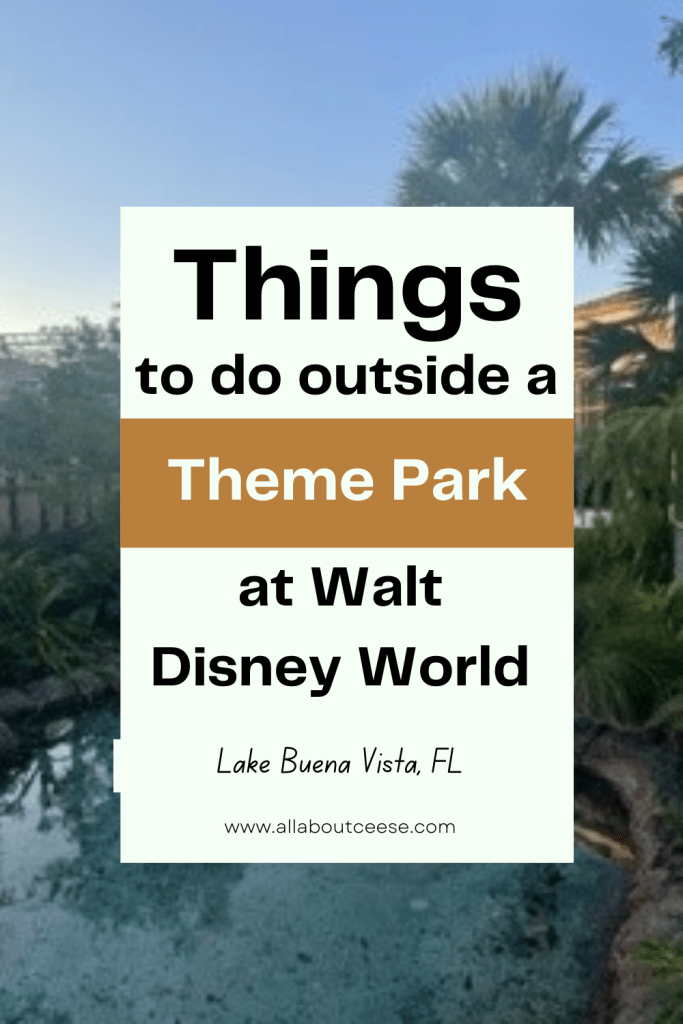 What to do outside of the WDW Theme&nbsp;Parks