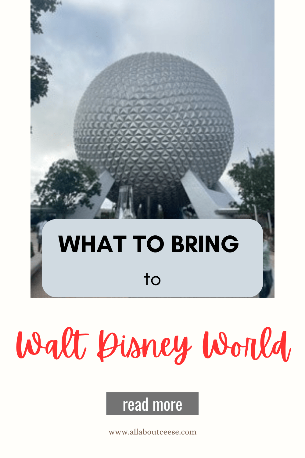 My Theme Park Must&nbsp;Haves