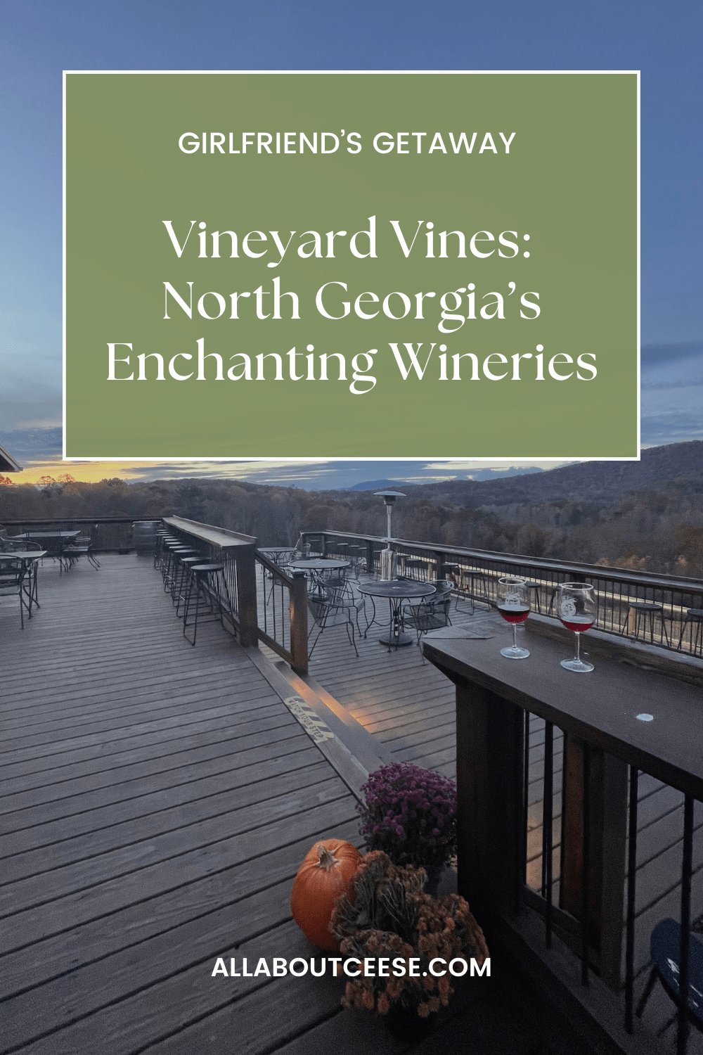 Vineyard Vibes: A Girlfriend’s Getaway to North Georgia’s Enchanting&nbsp;Wineries